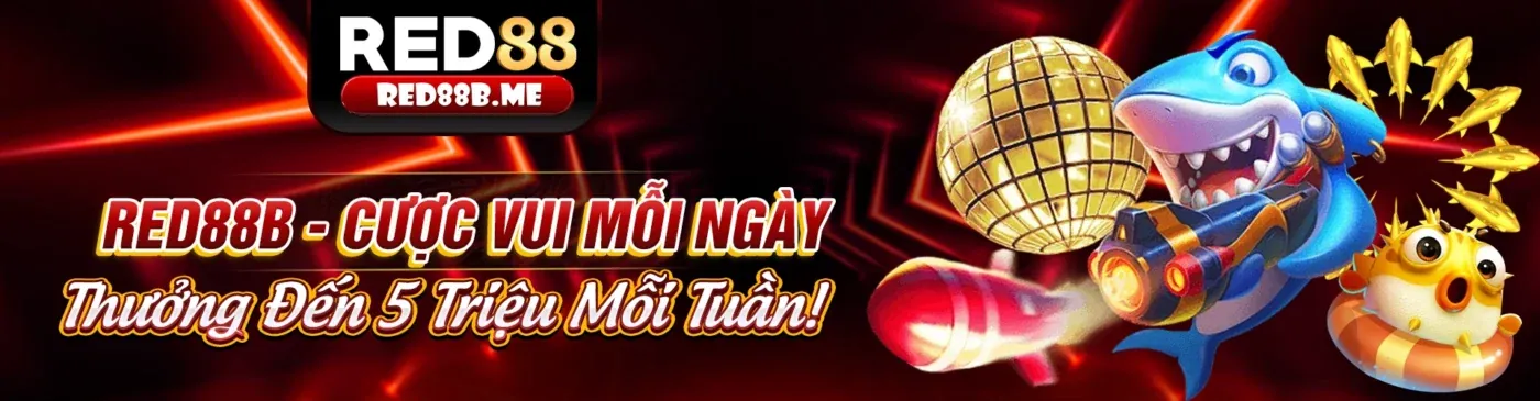 Cảnh quay trực tiếp trận đá gà Thomo đang diễn ra