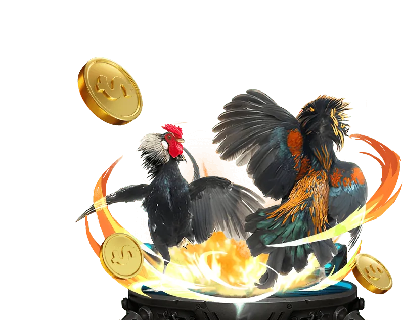 Cảnh người dân Việt Nam tụ tập xem đá gà truyền thống, thể hiện ý nghĩa văn hóa